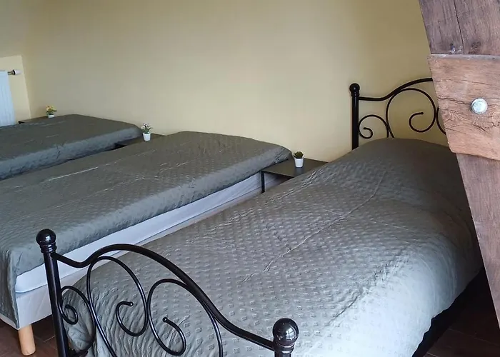 Logis De La Provosterie - Clivia Ou Crocus